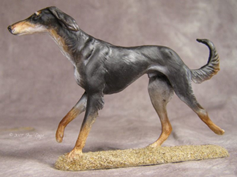 Saluki